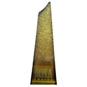 GIWA - 2018 Best Bride & Groom Entry  (Bronze)