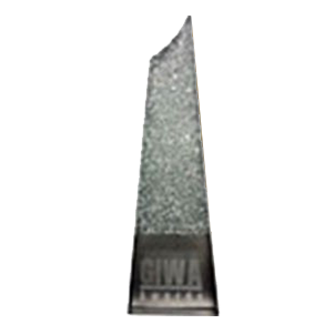 GIWA - 2016 Best Bride & Groom Entry (Silver)