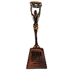GIWA - 2015 Best Sangeet Ceremony- Dubai Wedding (Silver)